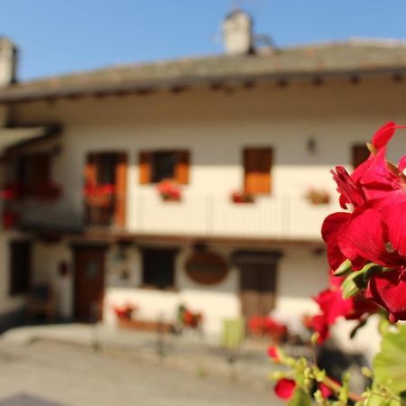 Agriturismo Au Jardin Fleuri Antey-Saint-André Exterior foto