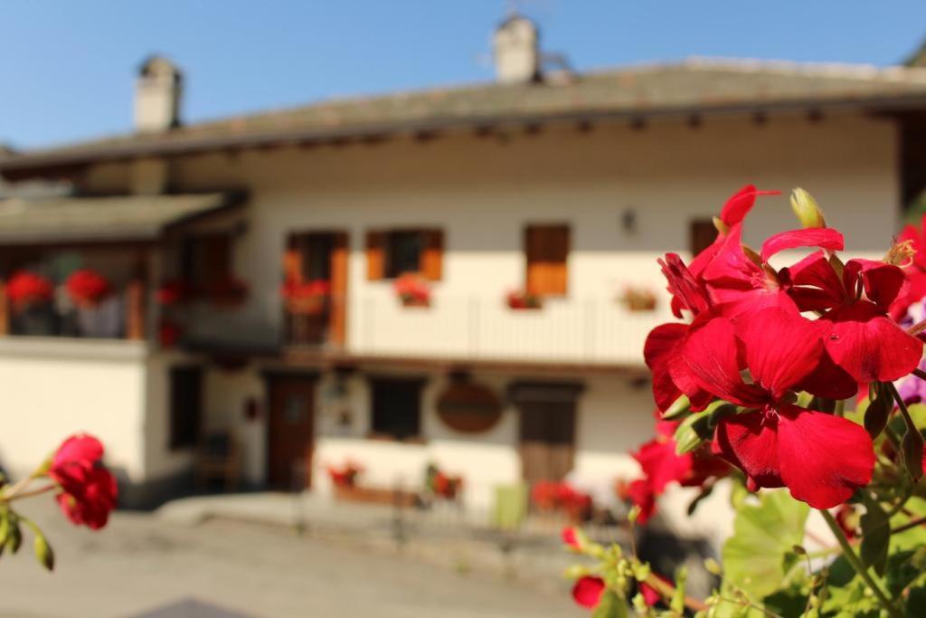 Agriturismo Au Jardin Fleuri Antey-Saint-André Exterior foto